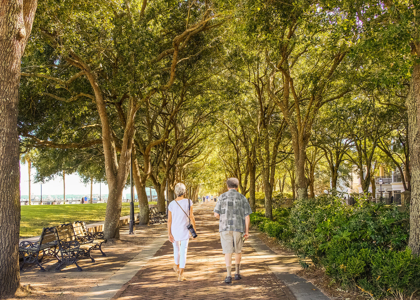 couple strolling down a tree covered path