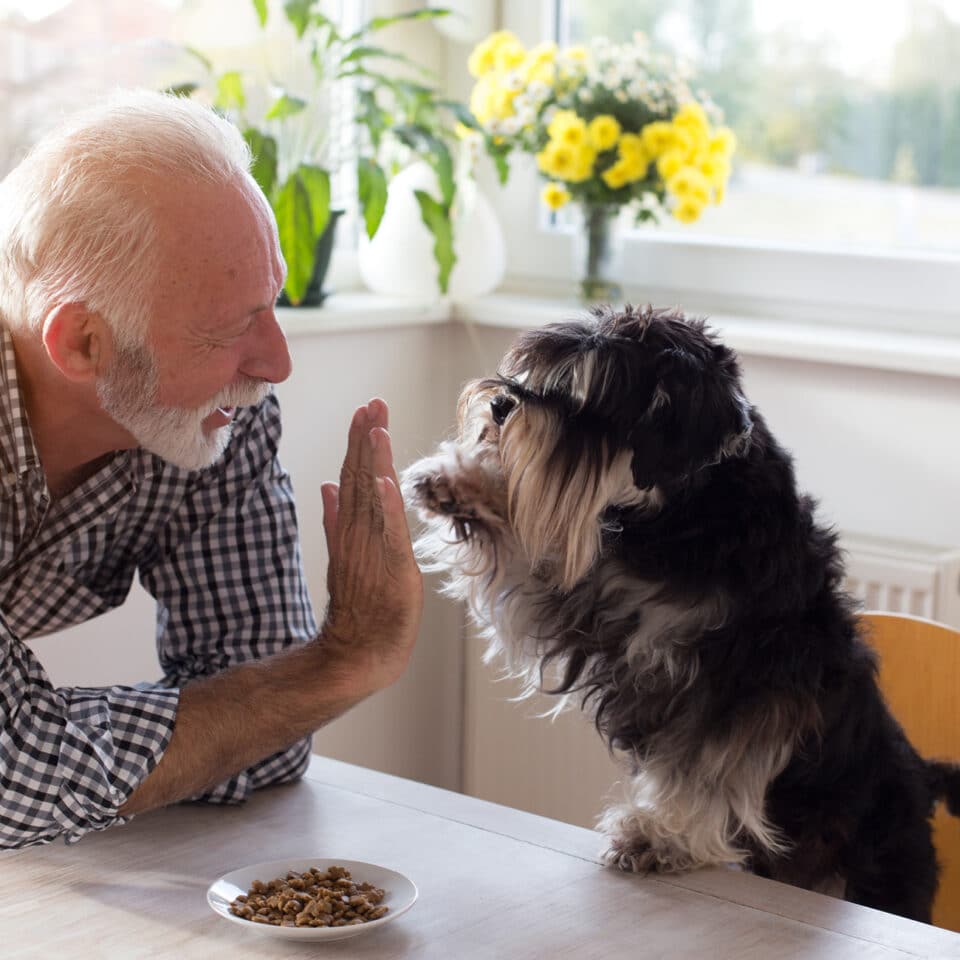 Resident feeding his pet dog